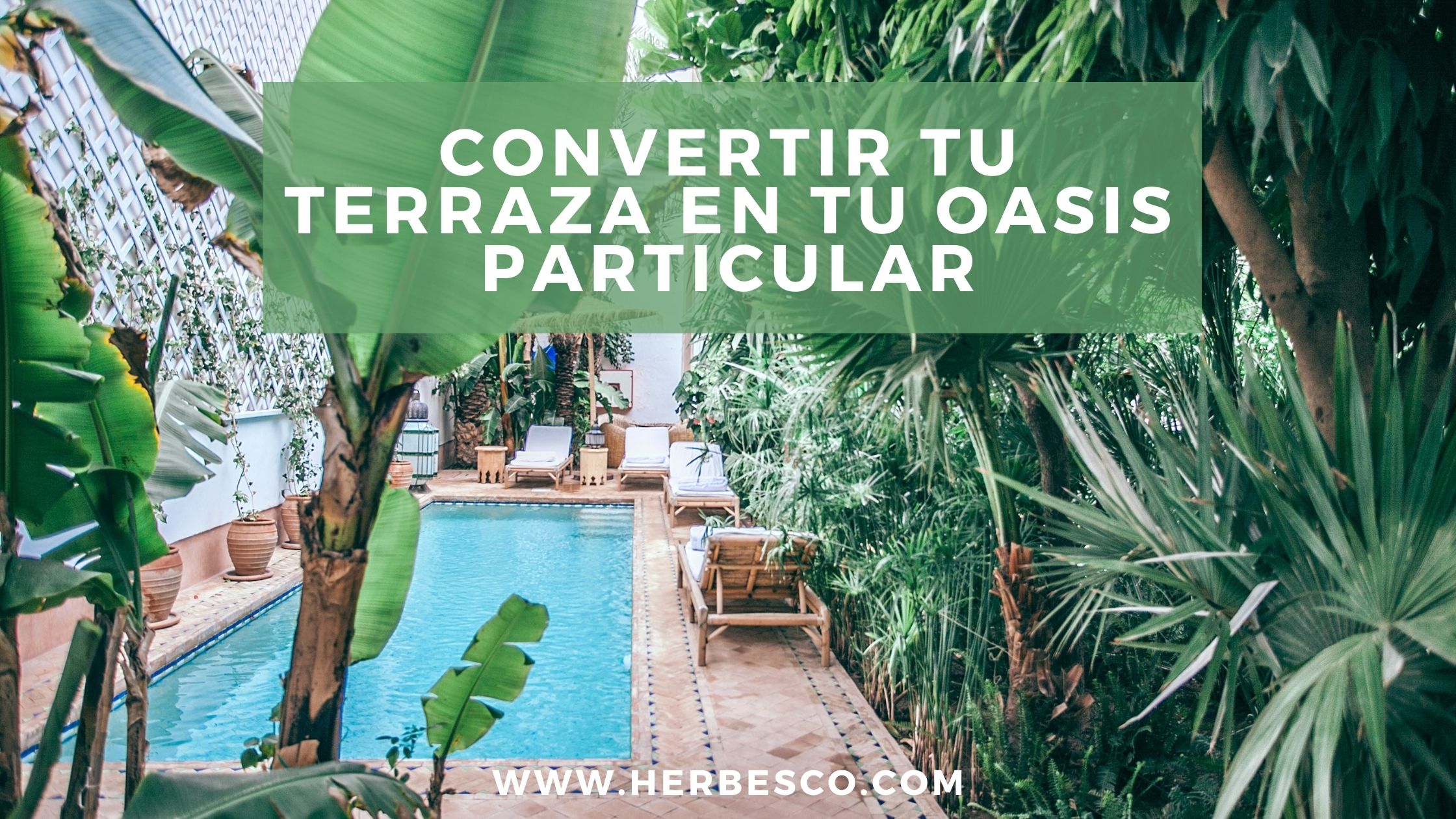 convertir-tu-terraza-en-tu-oasis-particular-1
