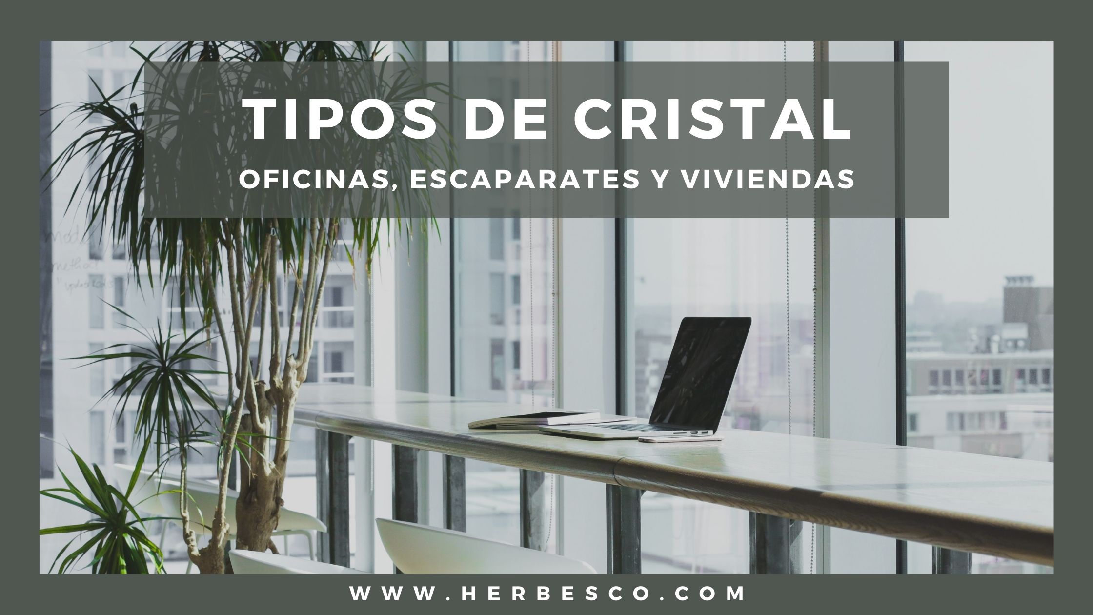 tipos-de-cristales-para-oficinas-escaparates-y-viviendas-1