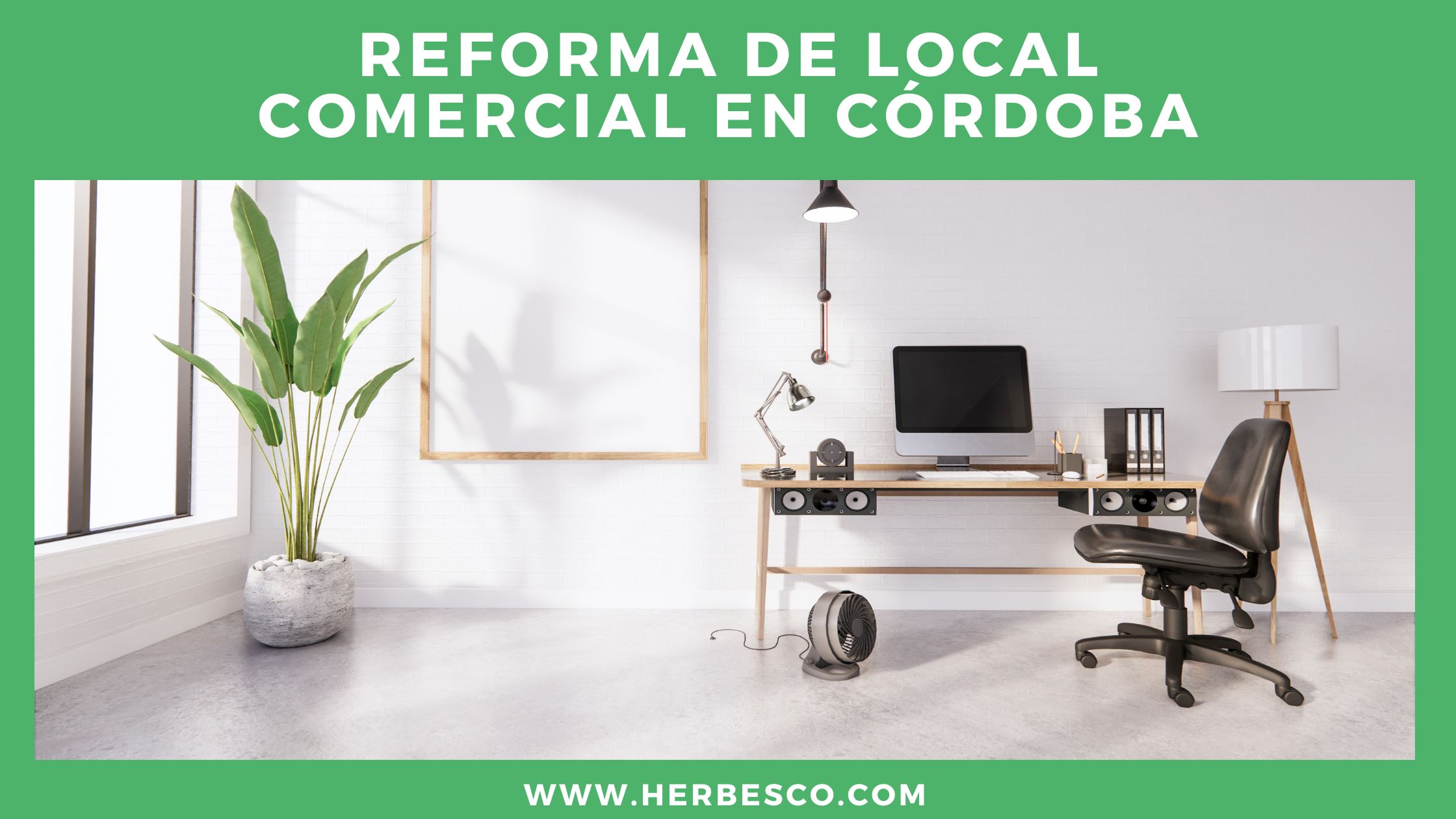 reforma-de-local-comercial-en-cordoba-1