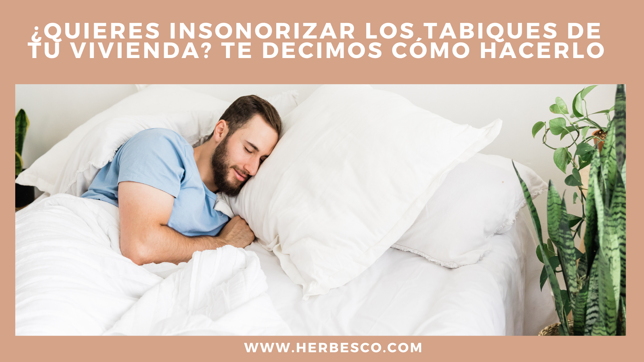 insonorizar-los-tabiques-de-viviendas-1