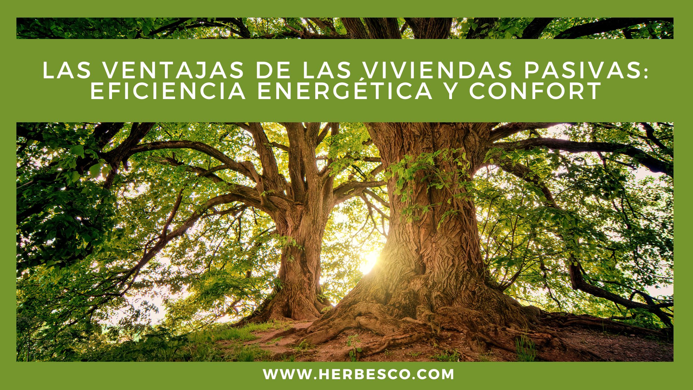las-ventajas-de-las-viviendas-pasivas-eficiencia-energetica-y-confort-1