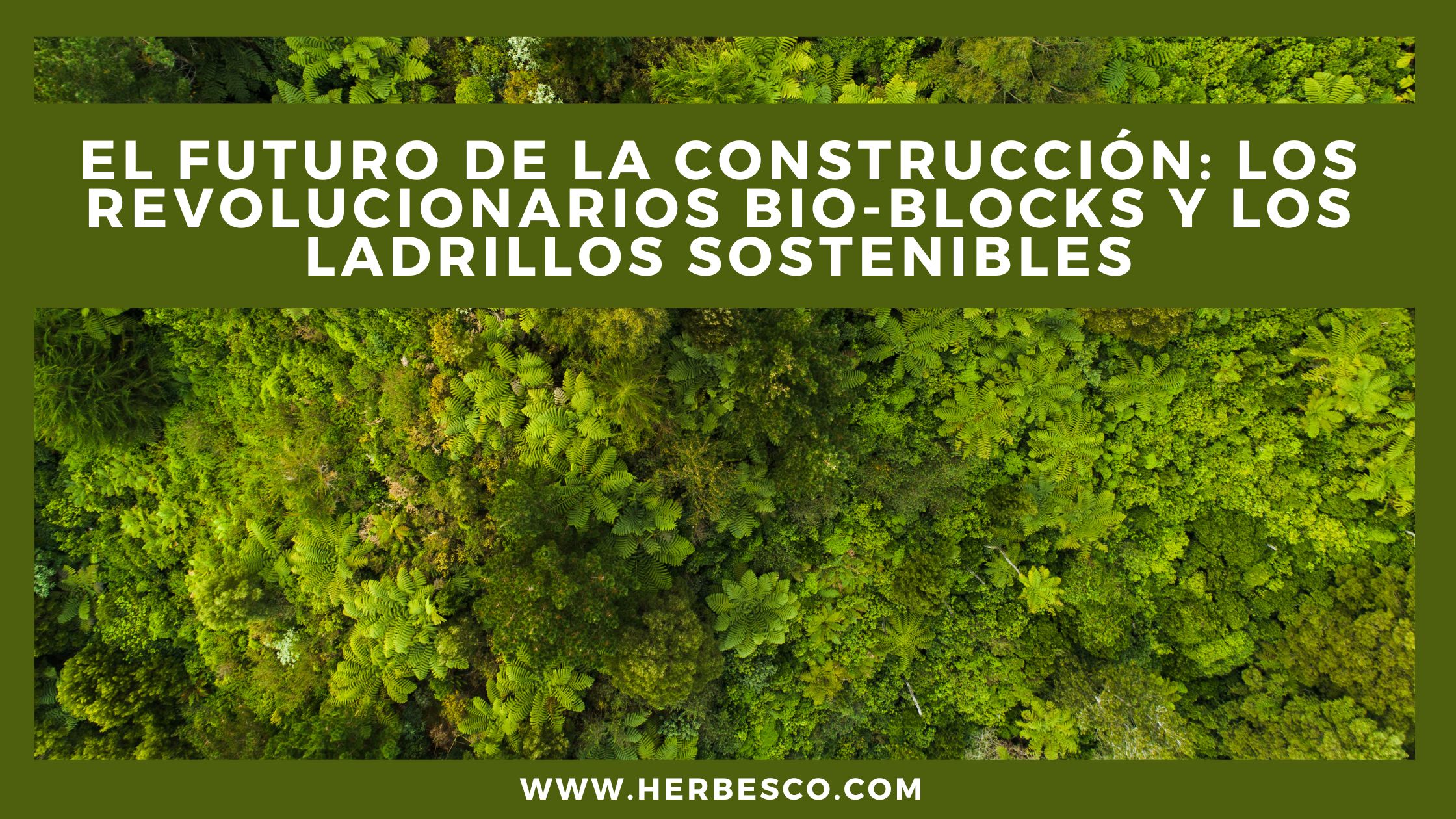 ladrillos-sostenibles-para-un-cambio-en-el-mundo-de-la-construccion-1