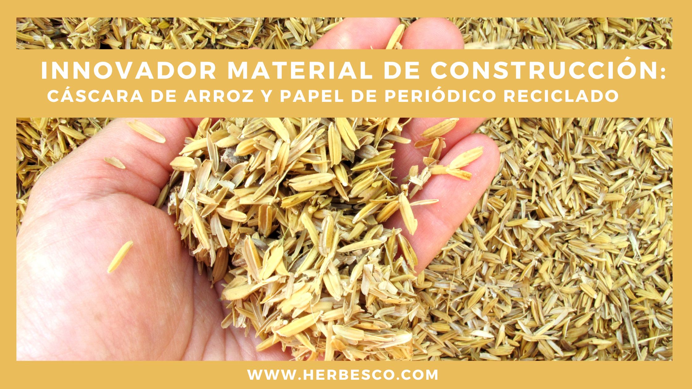 innovador-material-de-construccion-1